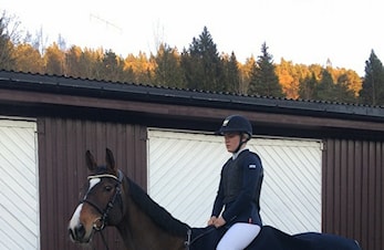 L-stevne Grenland Ryttersportsklubb med I-NM Ponni og Children 03-05.11.2017