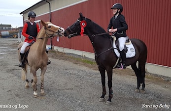 D-stevne Rogaland Rideklubb 11 og 12.mars 2017