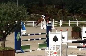 Baltic Cup Sørlandsparken Rideklubb 31.08.-03.09.2017