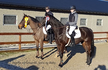 L-stevne Rogaland Rideklubb 02-04. februar 2018