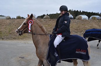 D-stevne Sandnes og Jæren Rideklubb 03-04. mars 2018