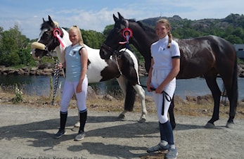 D-stevne Egersund og Dalane Rideklubb 09-10.juni 2018
