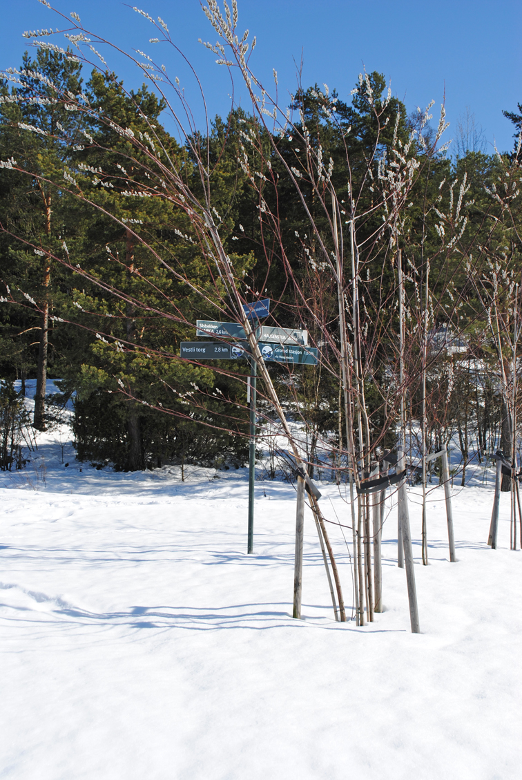 Kaldere vær – J7/8 og G6 trekker inn