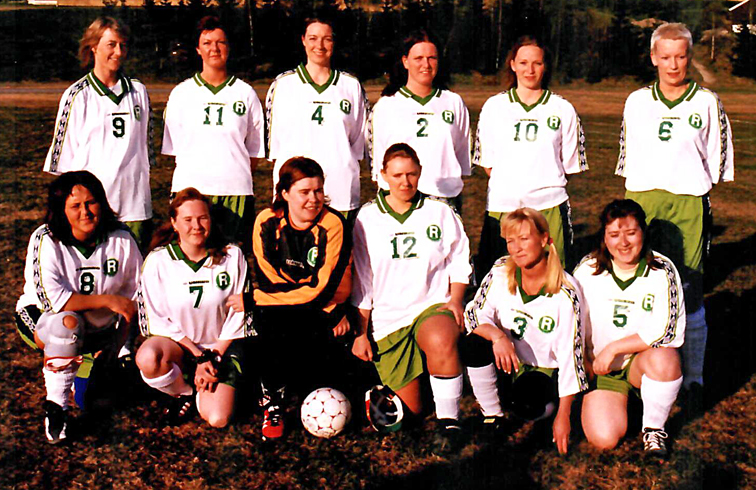 Halvgått sesong 2017