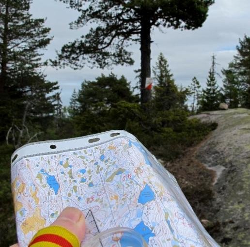 Treningsløp i kveld på MØVG
