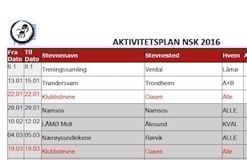 Aktivitetsplan 2017