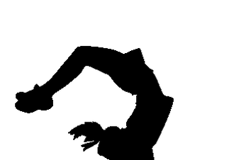Nyttårsoppvisning