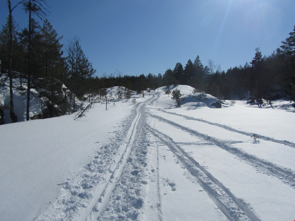 Skiløyper på Stalleland