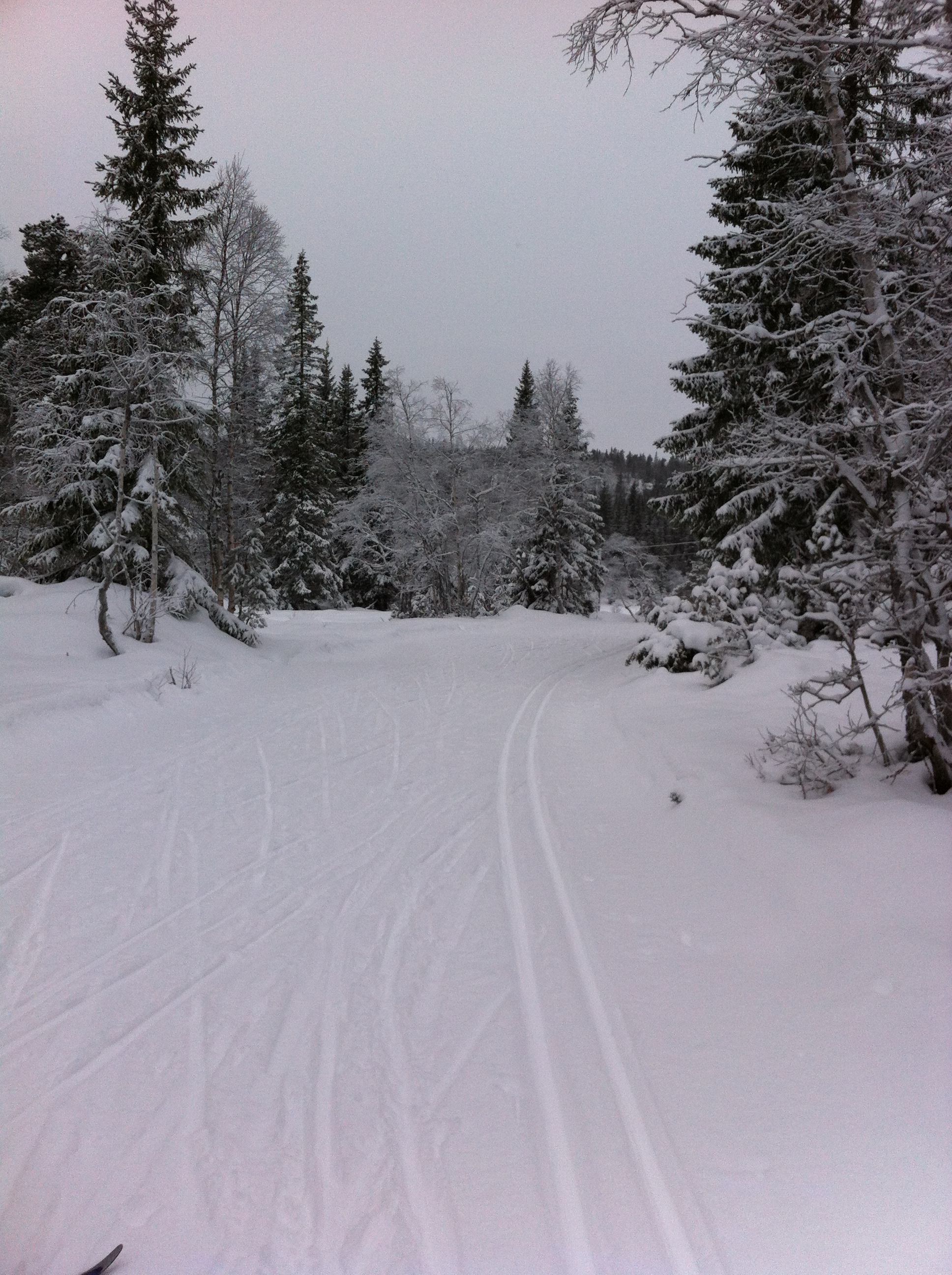 Årets første grendeskirenn 24. januar