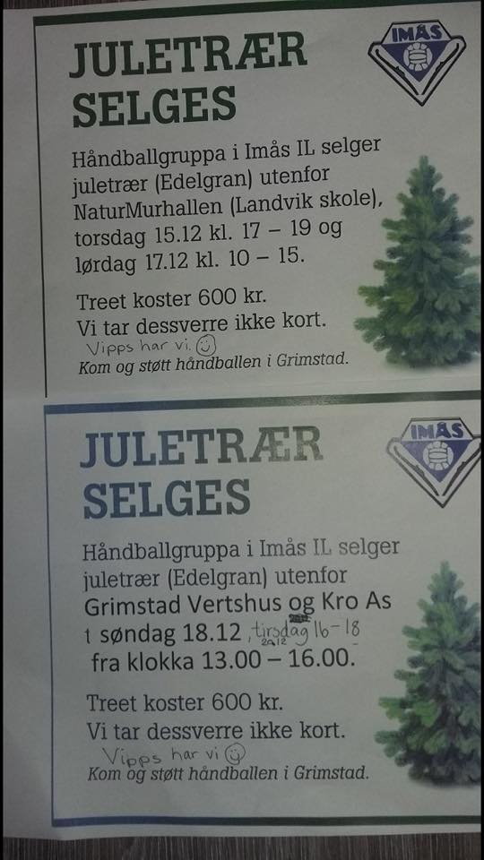 Årets juletre kjøper du utenfpor Naturmurhallen.