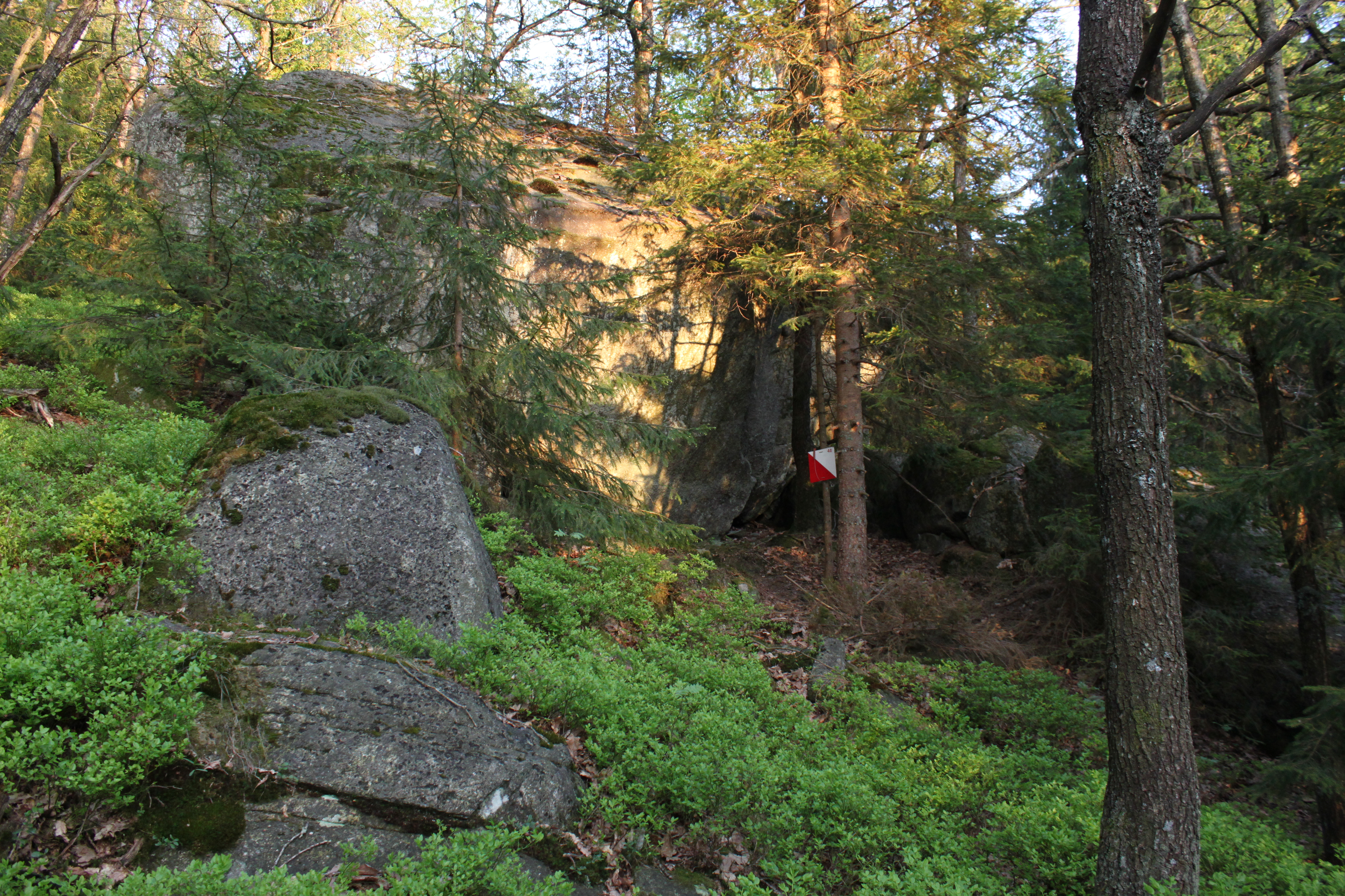 AAOK-Bedrifts O-løp