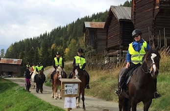 Haustritt på Skaga