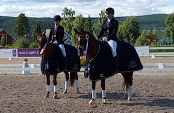Kretsmestere i dressur