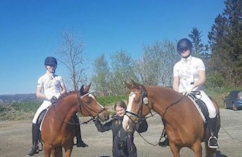 L-stevne dressur Alvøen 6.-7. mai