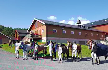 Kretsmesterskap i dressur på Åmot
