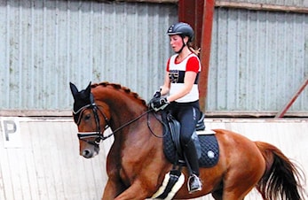 Unghest VM i Ermelo, Holland