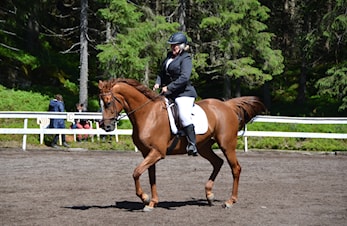 Startlister dressur Hvinden 19.mars