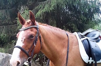 Meld deg på til klubbstevne!