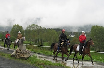 Bli med på Olsokrittet!