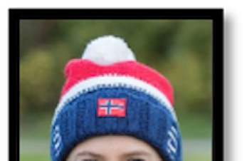 Salg av LSV-luer