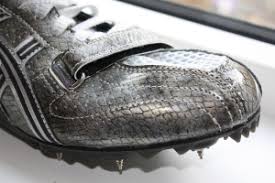 Årets siste Snøkut