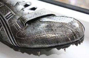 Årets siste Snøkut