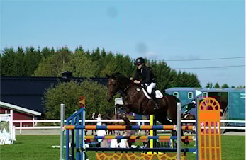 RAKK reiser til Lier horseshow - bli med!