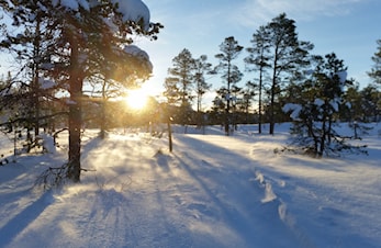 Siste nytt- snø i Vassfjellet!