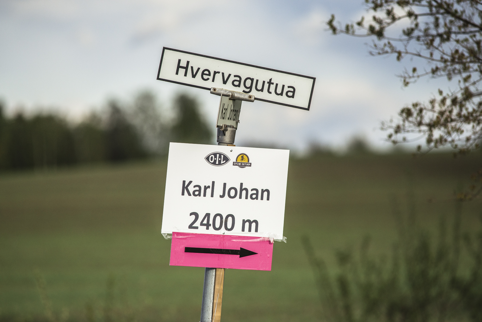 Gylne Gutuer 2017: Norgescupritt igjen!
