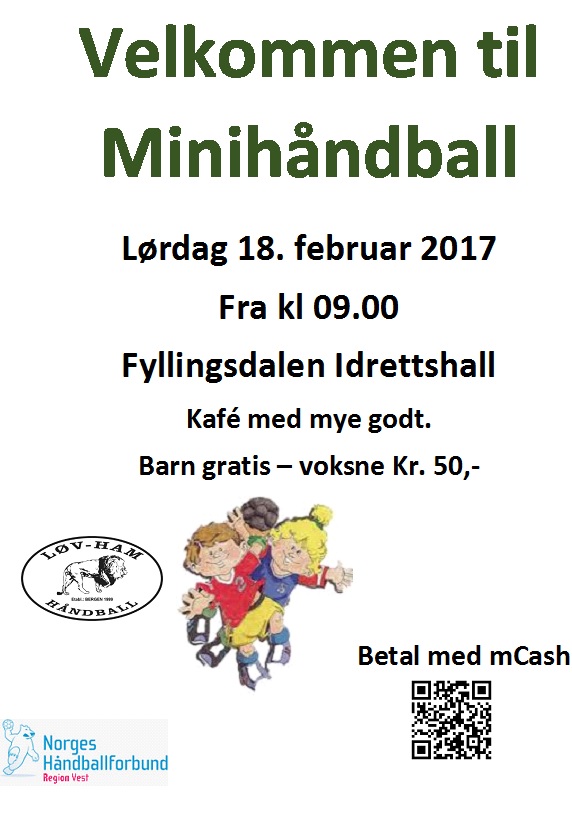 Minihåndball 18.02.2017