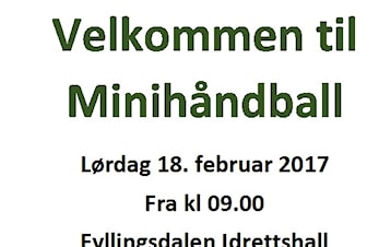 Minihåndball 18.02.2017