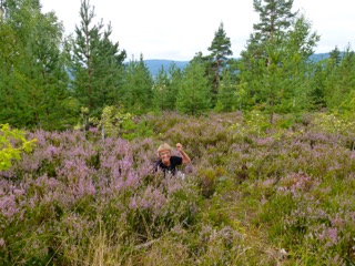 Torsdagstur høsten 2016