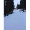 SKILØYPER I HOF