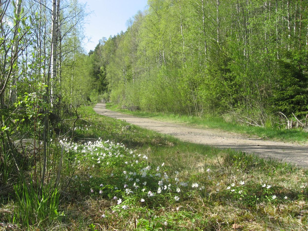 Treningstur med Anita og Leif i Østmarka lørdag 4. juni