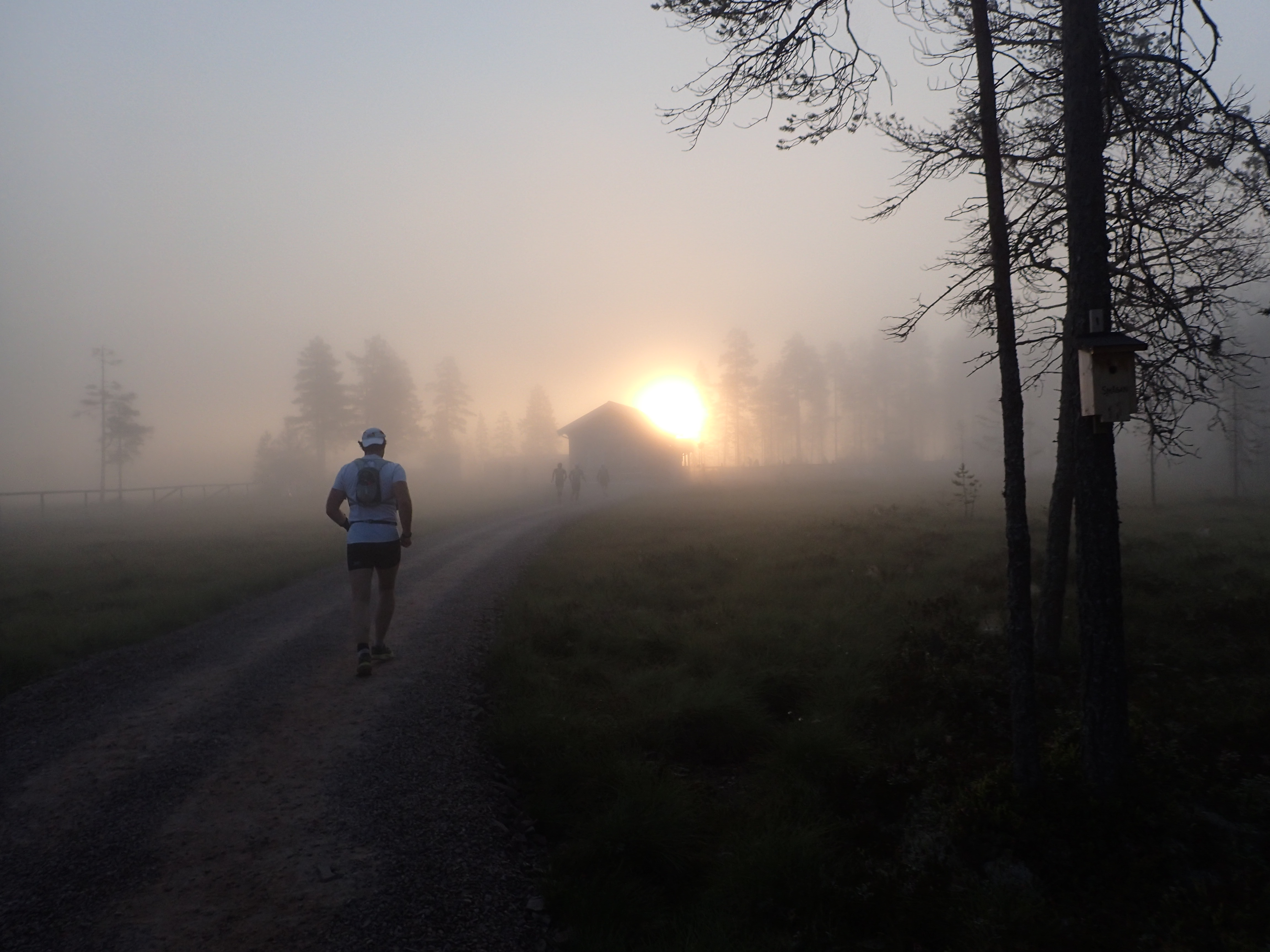 Hvem vil være med Heidi til UltraVasan