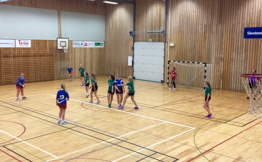 Treningsavgift sesong 2018/19