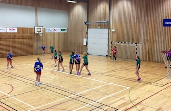 Treningsavgift sesong 2018/19