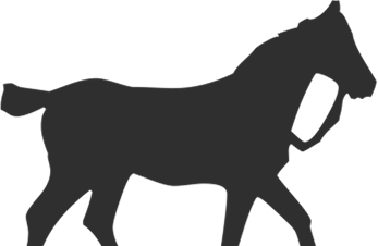 Referat styremøte SHS 30.07.17