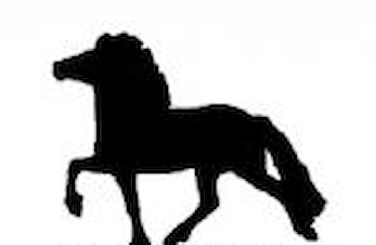 Faxi stemne - søndag 15/04