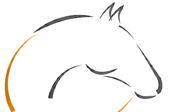 Invitasjon til ekstraordinært årsmøte