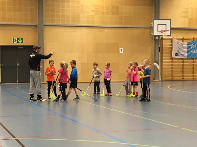 Innebandy i allidretten