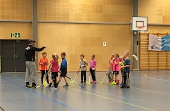 Innebandy i allidretten