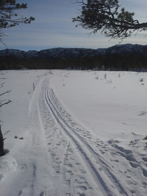 Skiløypa til Kjelvollen kjøres opp.