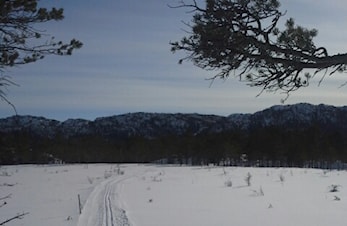 Skiløypa til Kjelvollen kjøres opp.