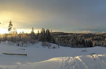Fine forhold i bakken !