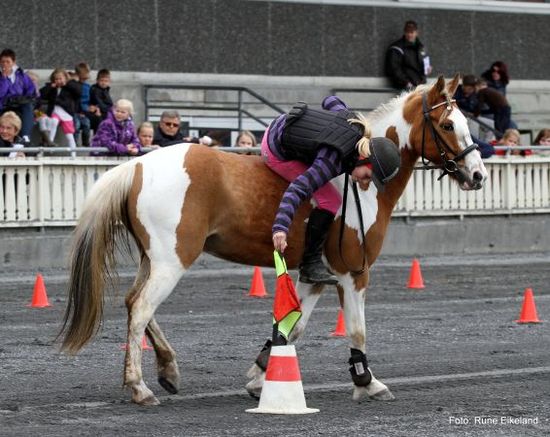 Ny time i rideskolen - GYMKHANA!