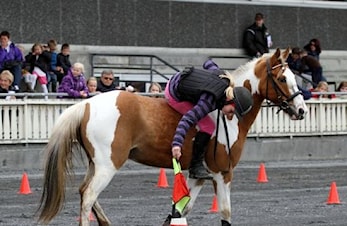 Ny time i rideskolen - GYMKHANA!