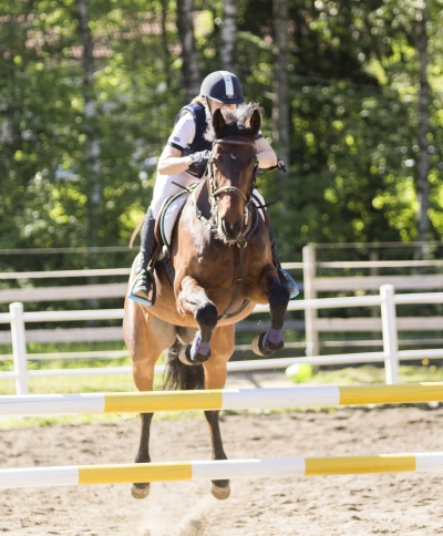 Endring i vårens program!