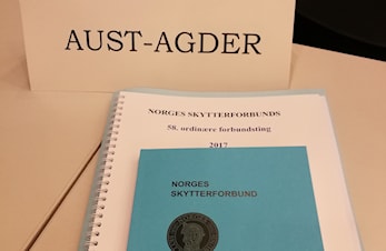 Forbundstinget 2017
