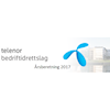 Årsberetning 2017